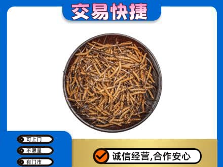 阿拉善盟额济纳旗回收散虫草